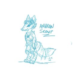 Amaran Scout